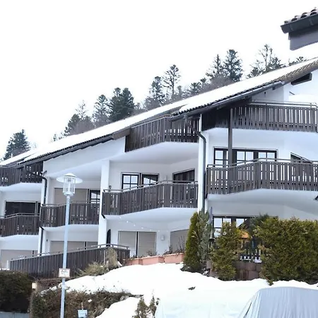 Zeus Mit Grosser Eingezaeunter Terrasse Appartamento Todtmoos