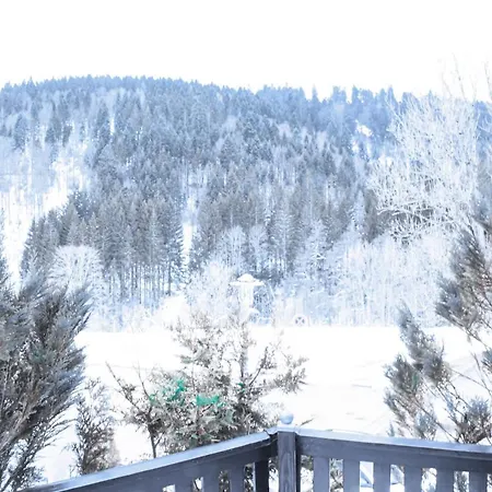 Appartamento Zeus Mit Grosser Eingezaeunter Terrasse *