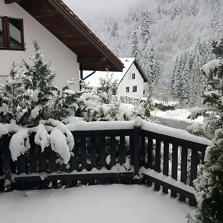 Zeus Mit Grosser Eingezaeunter Terrasse