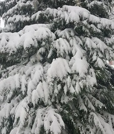 Lägenhet Zeus Mit Grosser Eingezaeunter Terrasse