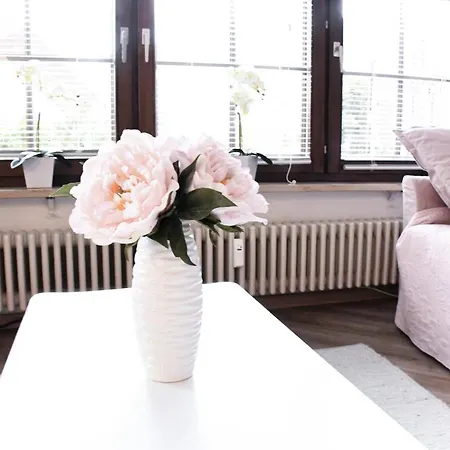 Zeus Mit Grosser Eingezaeunter Terrasse * Todtmoos