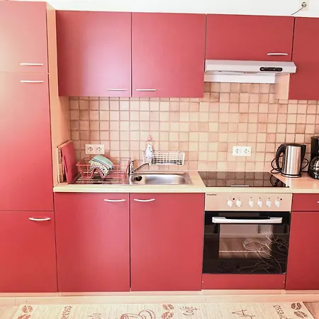 Appartamento Zeus Mit Grosser Eingezaeunter Terrasse Todtmoos