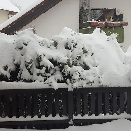 Zeus Mit Grosser Eingezaeunter Terrasse * Todtmoos