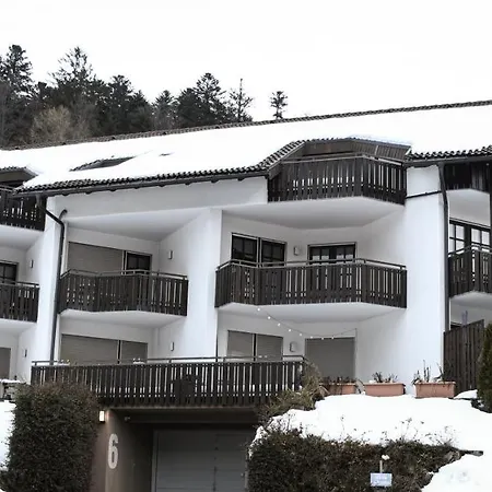 Zeus Mit Grosser Eingezaeunter Terrasse Todtmoos