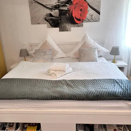 Zeus Mit Grosser Eingezaeunter Terrasse Todtmoos