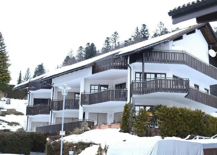 Zeus Mit Grosser Eingezaeunter Terrasse Apartamento Todtmoos