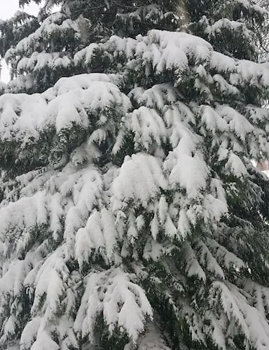 Apartamento Zeus Mit Grosser Eingezaeunter Terrasse