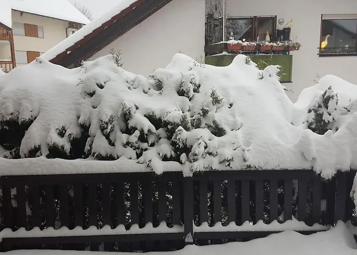 Zeus Mit Grosser Eingezaeunter Terrasse * Todtmoos