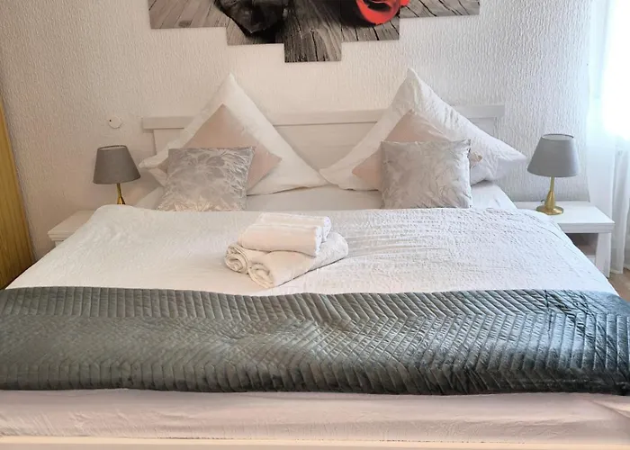 Zeus Mit Grosser Eingezaeunter Terrasse Todtmoos